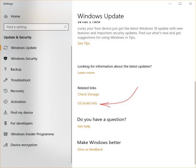 how to manually update windows 10 - OS build 