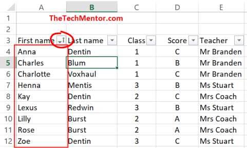 excel names arranged alphabetically