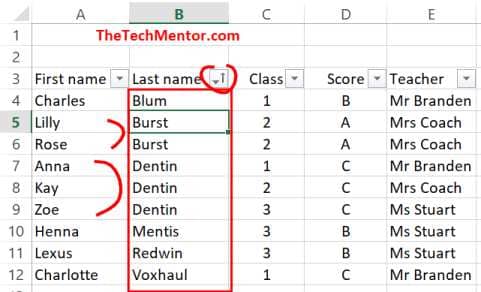 how to alphabetize in excel by last name then first name