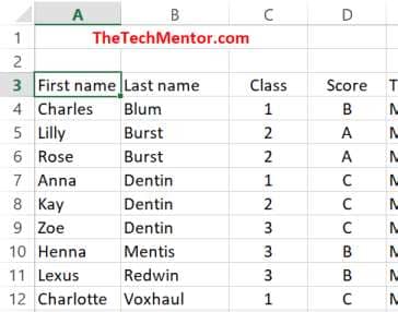 result of custom sort to alphabetize by last name then first name